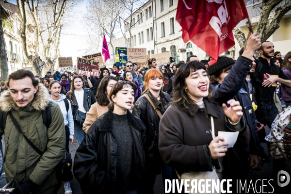 Montpellier - 2eme Manifestation contre la Reforme des Retraites