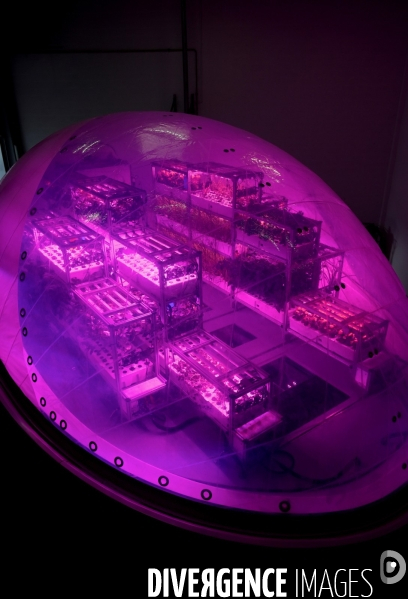 La start up Interstellar Lab