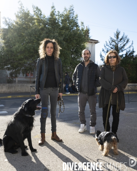 Le msytère des chiens empoisonés