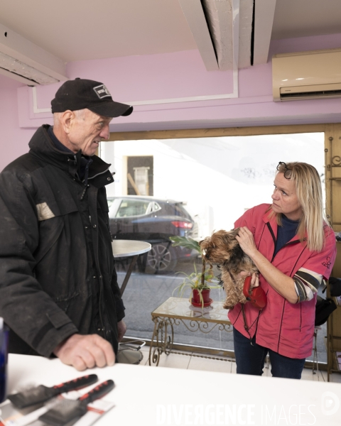 Le msytère des chiens empoisonés