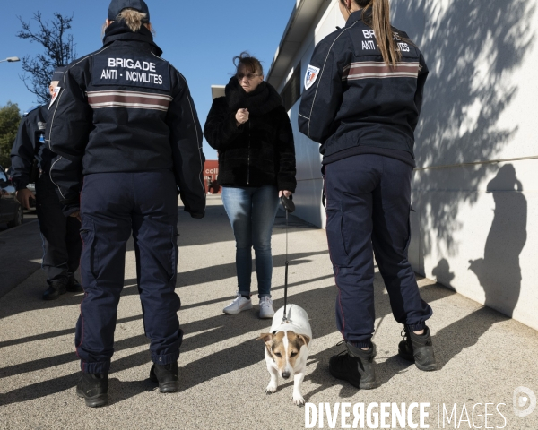 Le msytère des chiens empoisonés