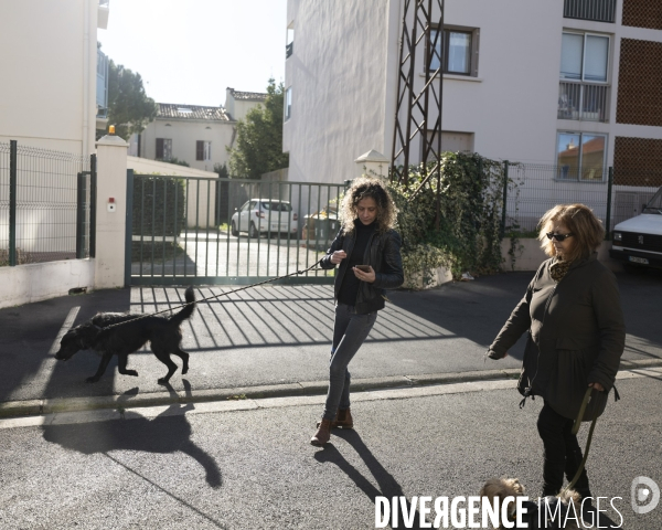 Le msytère des chiens empoisonés