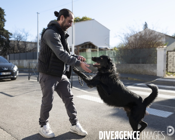 Le msytère des chiens empoisonés