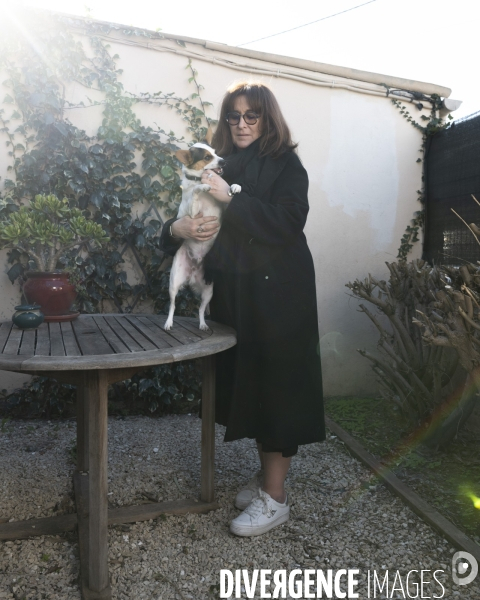 Le msytère des chiens empoisonés