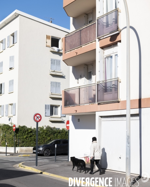 Le msytère des chiens empoisonés