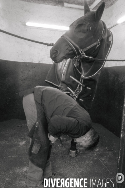 Prix d Amerique 2023