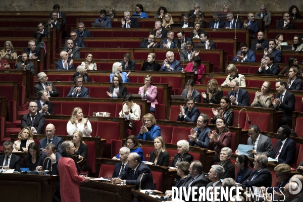 Assemblée nationale le 31 janvier.