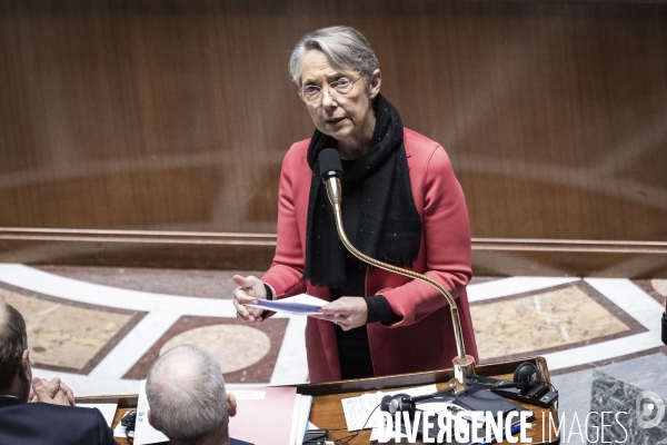 Assemblée nationale le 31 janvier.