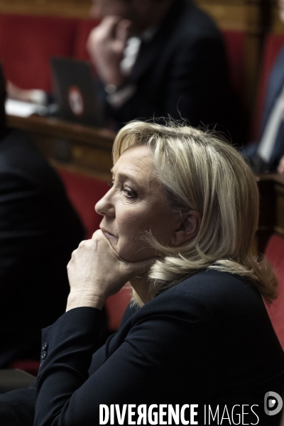 Assemblée nationale le 31 janvier.