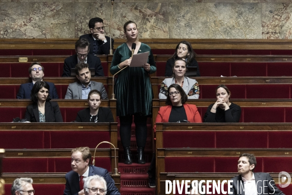 Assemblée nationale le 31 janvier.