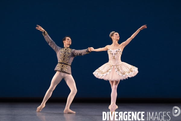 Danseur De Ballet Dans La Figure De La Poussière De L'art Magique Banque  D'Images et Photos Libres De Droits. Image 34144628