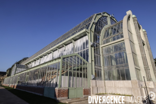 Expo mille et une orchidees grandes serres jardin des plantes