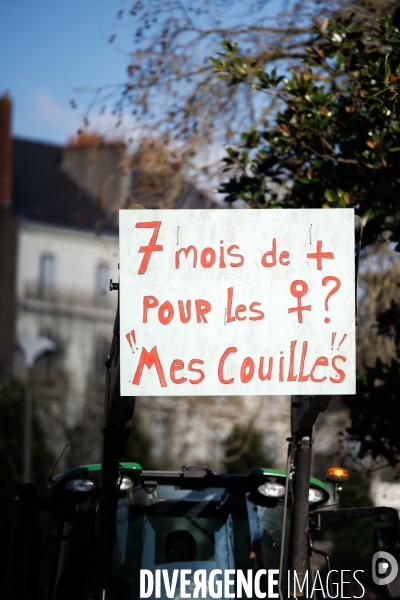 Troisième journée de mobilisation contre la réforme des retraites à Nantes