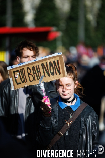 Troisième journée de mobilisation contre la réforme des retraites à Nantes