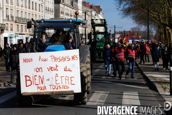 Troisième journée de mobilisation contre la réforme des retraites à Nantes