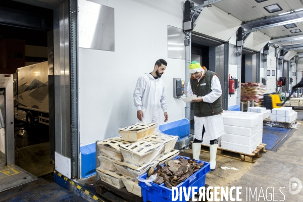 Poiscaille, abonnement aux produits de la mer