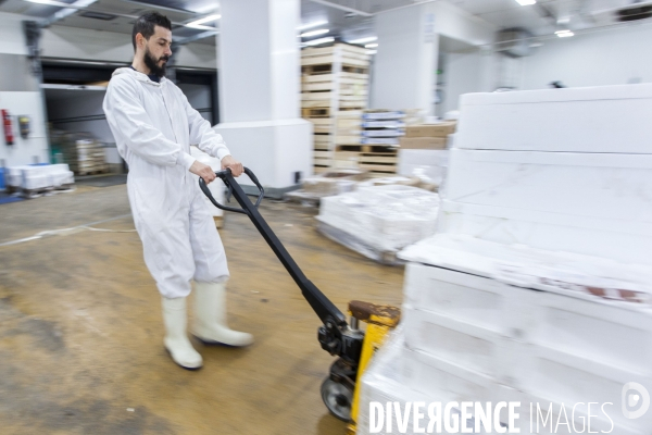 Poiscaille, abonnement aux produits de la mer