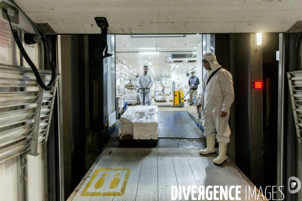 Poiscaille, abonnement aux produits de la mer