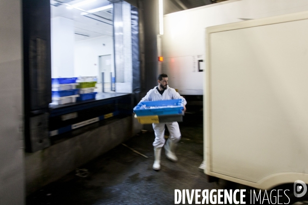 Poiscaille, abonnement aux produits de la mer