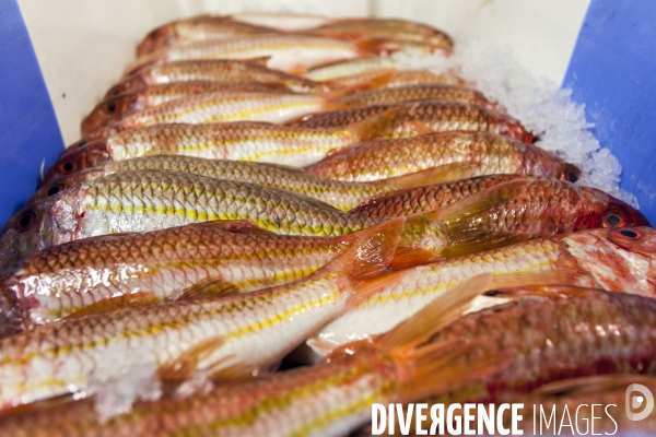 Poiscaille, abonnement aux produits de la mer