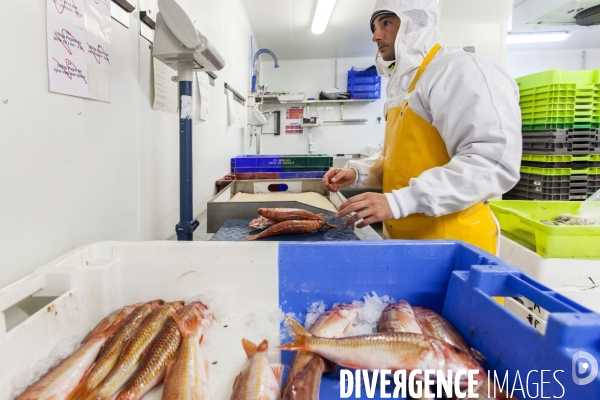 Poiscaille, abonnement aux produits de la mer