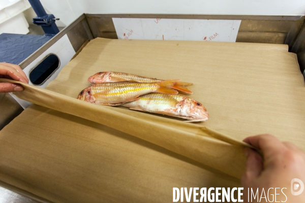 Poiscaille, abonnement aux produits de la mer