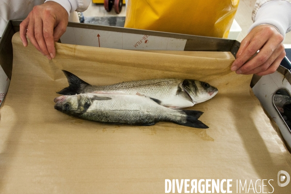 Poiscaille, abonnement aux produits de la mer