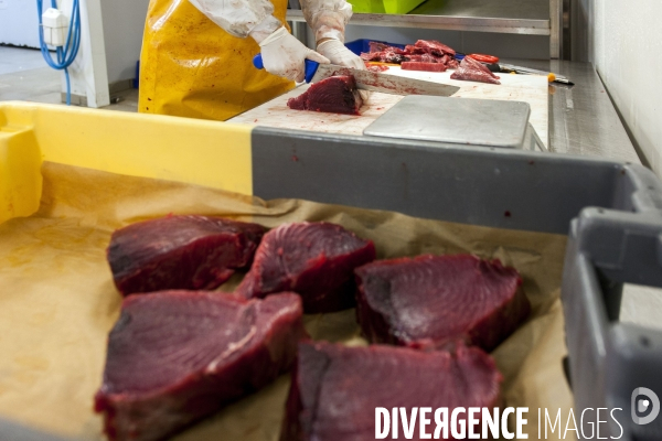 Poiscaille, abonnement aux produits de la mer