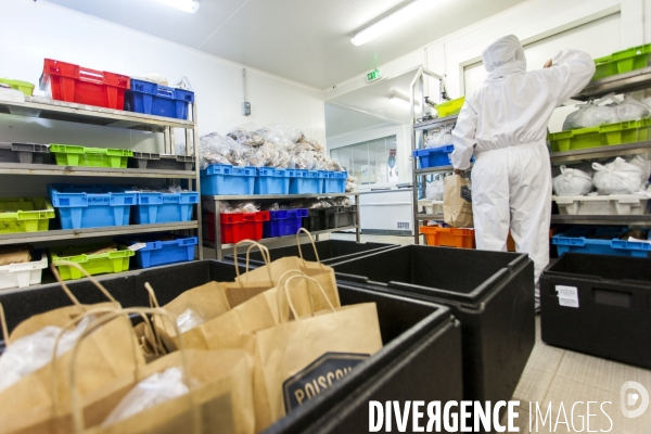 Poiscaille, abonnement aux produits de la mer