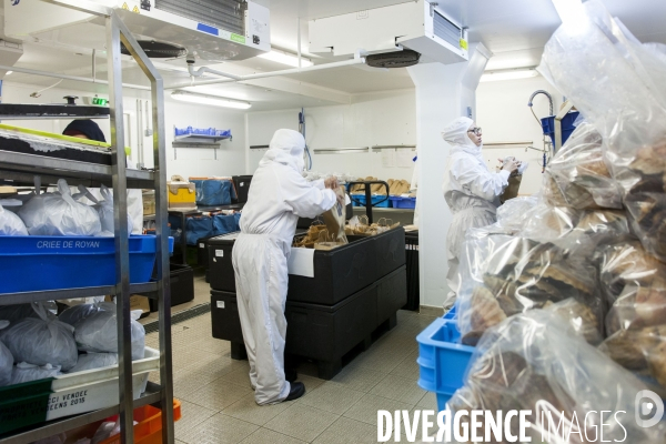 Poiscaille, abonnement aux produits de la mer