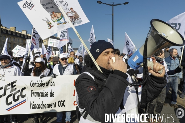 BORDEAUX, 3 ème manifestation contre la Réforme des Retraites