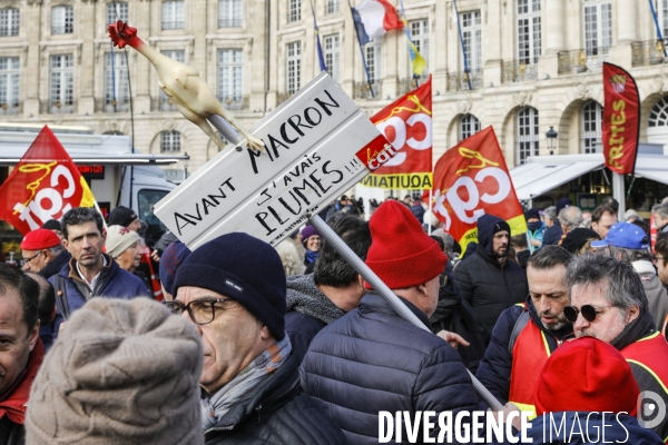 BORDEAUX, 3 ème manifestation contre la Réforme des Retraites