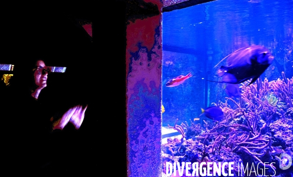 Aquarium tropical du Palais de la Porte Dorée