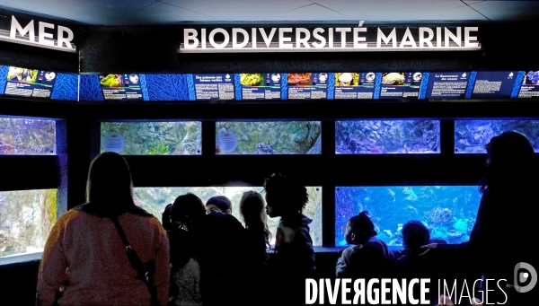 Aquarium tropical du Palais de la Porte Dorée