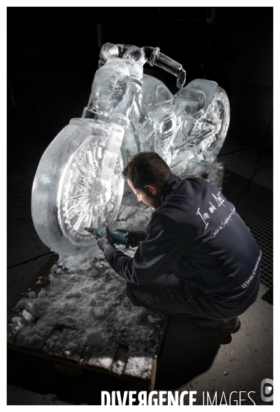 Ice and Art Sculptures sur Glace