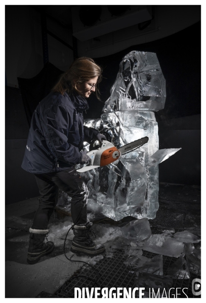 Ice and Art Sculptures sur Glace