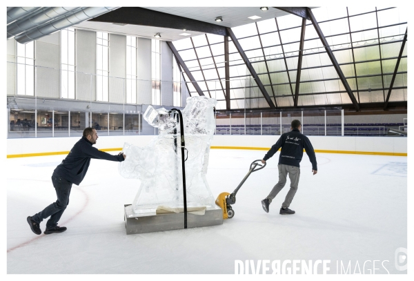 Ice and Art Sculptures sur Glace