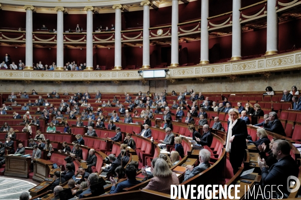 Assemblée Nationale / Cinquieme jour du debat sur la reforme des retraites