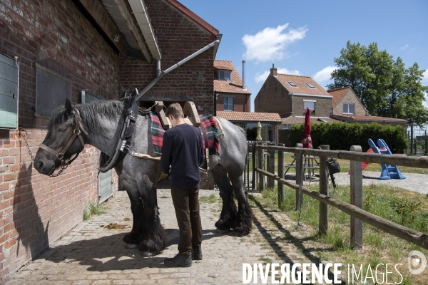 Pêche a la crevette a cheval