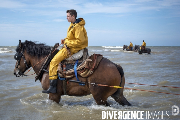 Pêche a la crevette a cheval