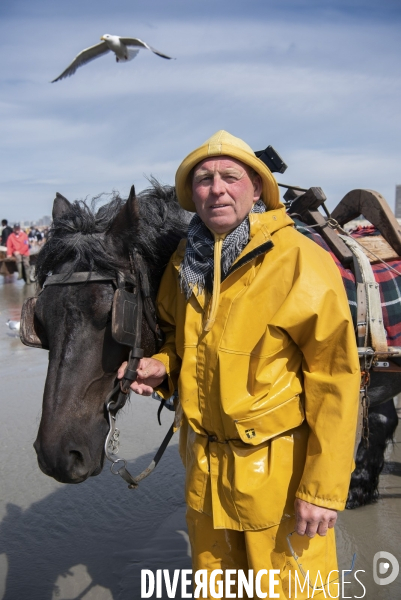 Pêche a la crevette a cheval