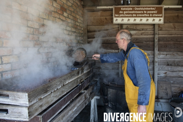 Pêche a la crevette a cheval