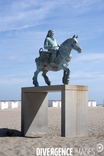 Pêche a la crevette a cheval