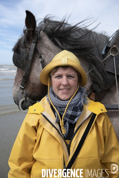 Pêche a la crevette a cheval