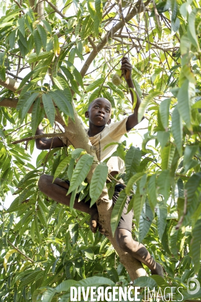 Jelusio gamin de la brousse Mozambicaine