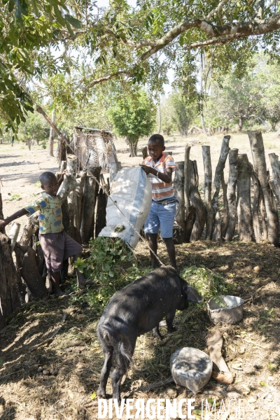 Jelusio gamin de la brousse Mozambicaine