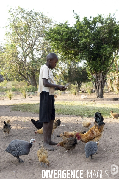 Jelusio gamin de la brousse Mozambicaine