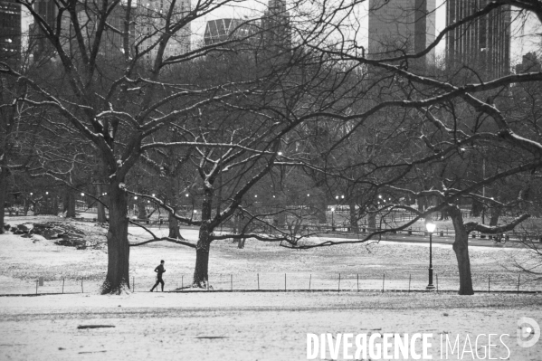 Central Park. New York.
