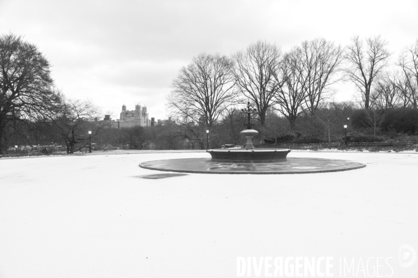 Central Park. New York.