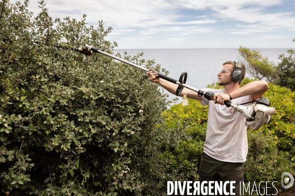 Apprentissage jardinier paysagiste chez les compagnons du devoir et du tour de france